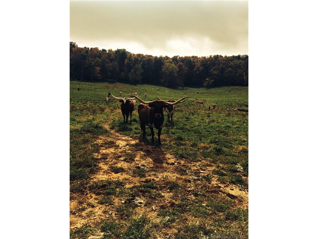 5865 State Road 62 NE, Lanesville, IN 47136