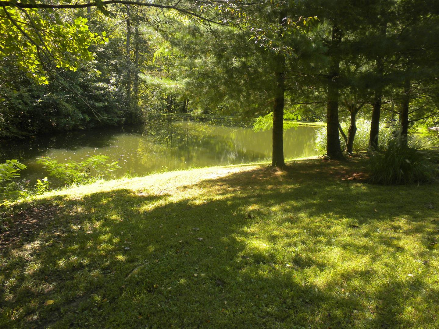 1585 W County Rd 60 S, North Vernon, IN 47265