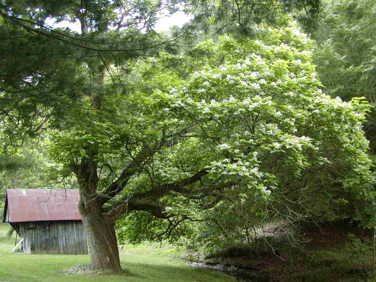 8799 S Roberts Road, Bloomington, IN 47401