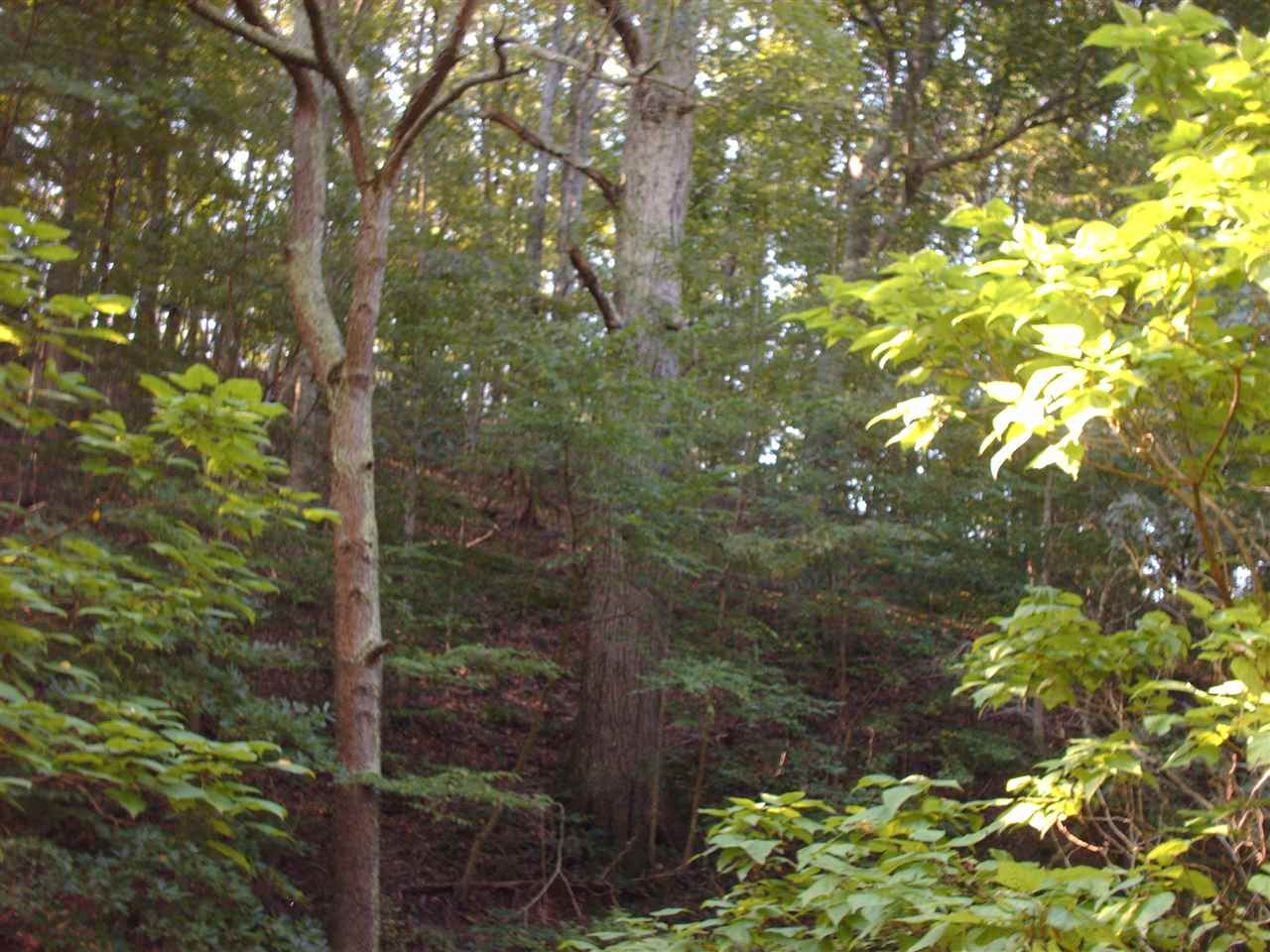 8799 S Roberts Road, Bloomington, IN 47401