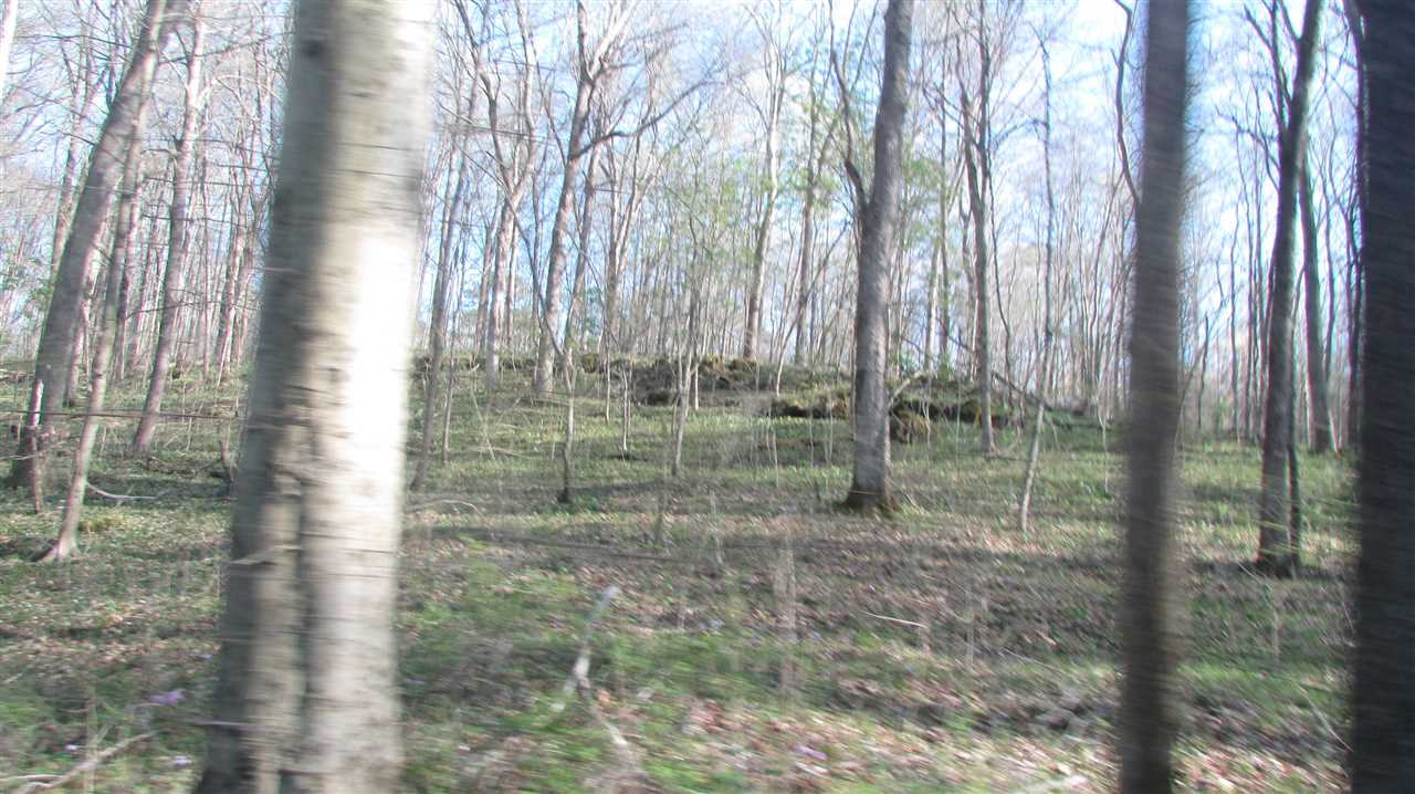 256 The Woods, Bedford, IN 47421