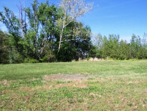 3915 W 16TH Street, Bedford, IN 47421