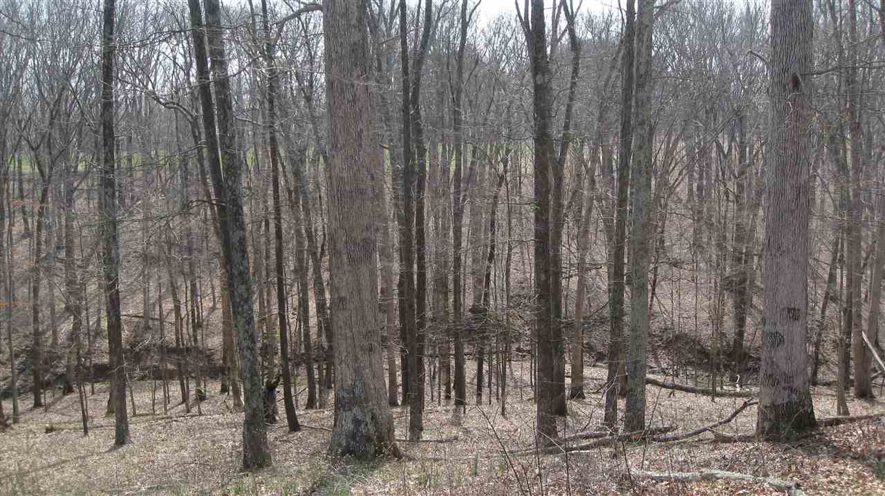 2702 Ridge, Williams, IN 47470