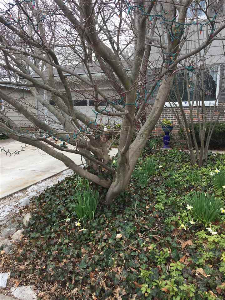 3008 Wilshire, West Lafayette, IN 47906