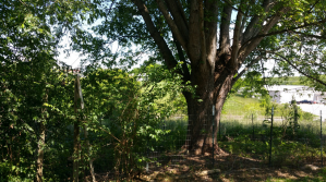 202 Powell StStanford, KY, 40484Lincoln County