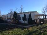 10417 MICHAEL DR