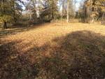1911 HUSBAND RD