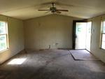 14000 SR-564 SOUTH ,KY, Farmington, 42040