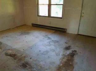 612 Rhonda AveGreenville, KY, 42345Muhlenberg County