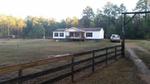 7323 SOUTH PINE RD ,LA, Urania, 71480