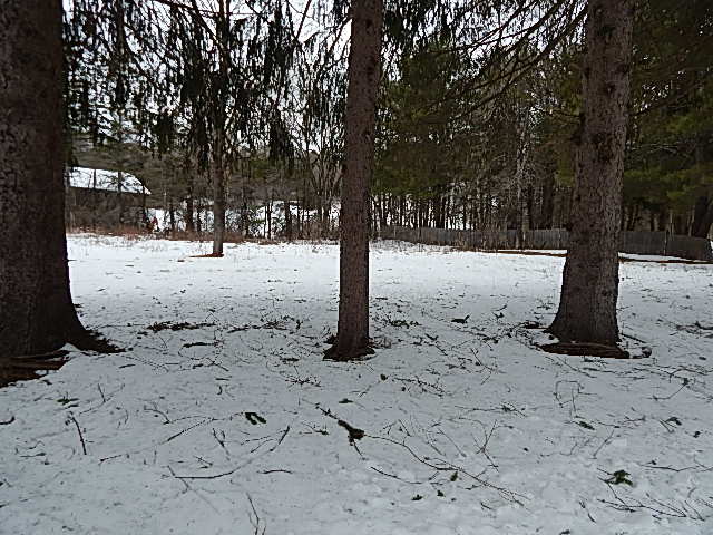 316 S Barre RdBarre, MA, 01005Worcester County