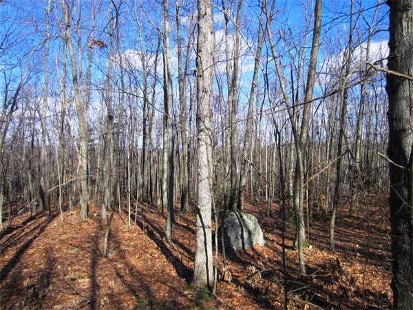 0Summit, Belchertown, MA 01007