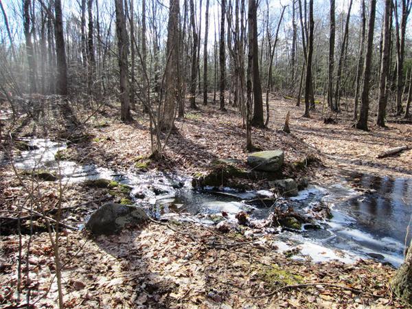 0Summit, Belchertown, MA 01007
