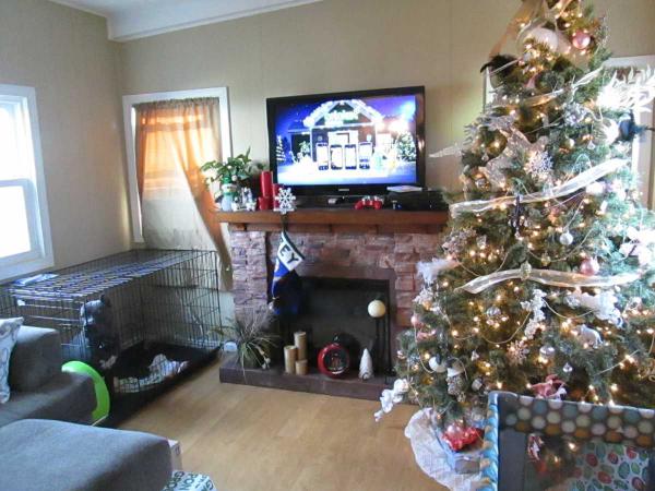 Bluebird Acres 45 Pippit DriveChicopee, MA 01020