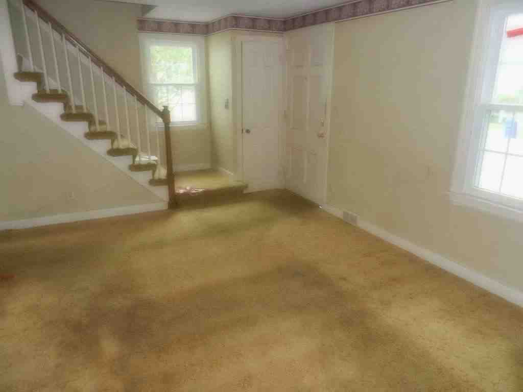 85 Harmon AveSpringfield, MA, 01118Hampden County