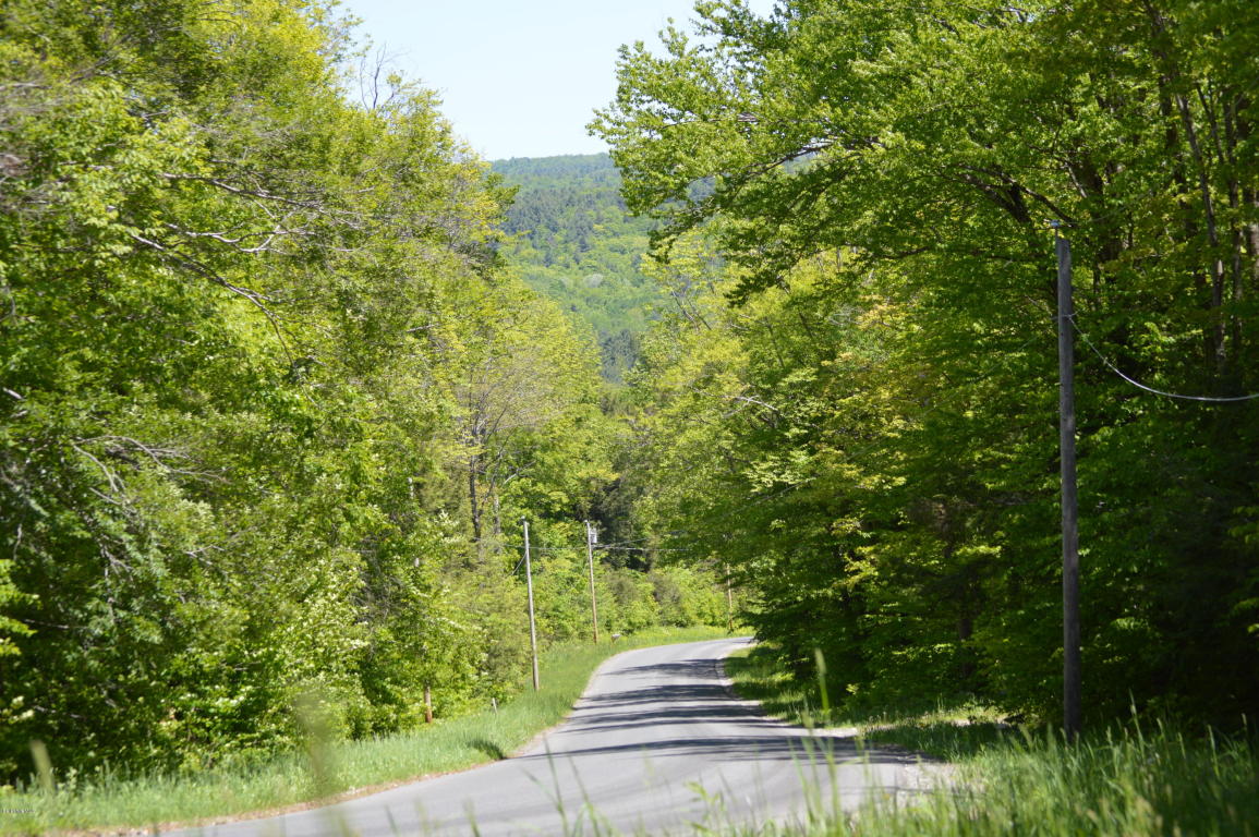 0 Frost Rd, Washington, MA 01223