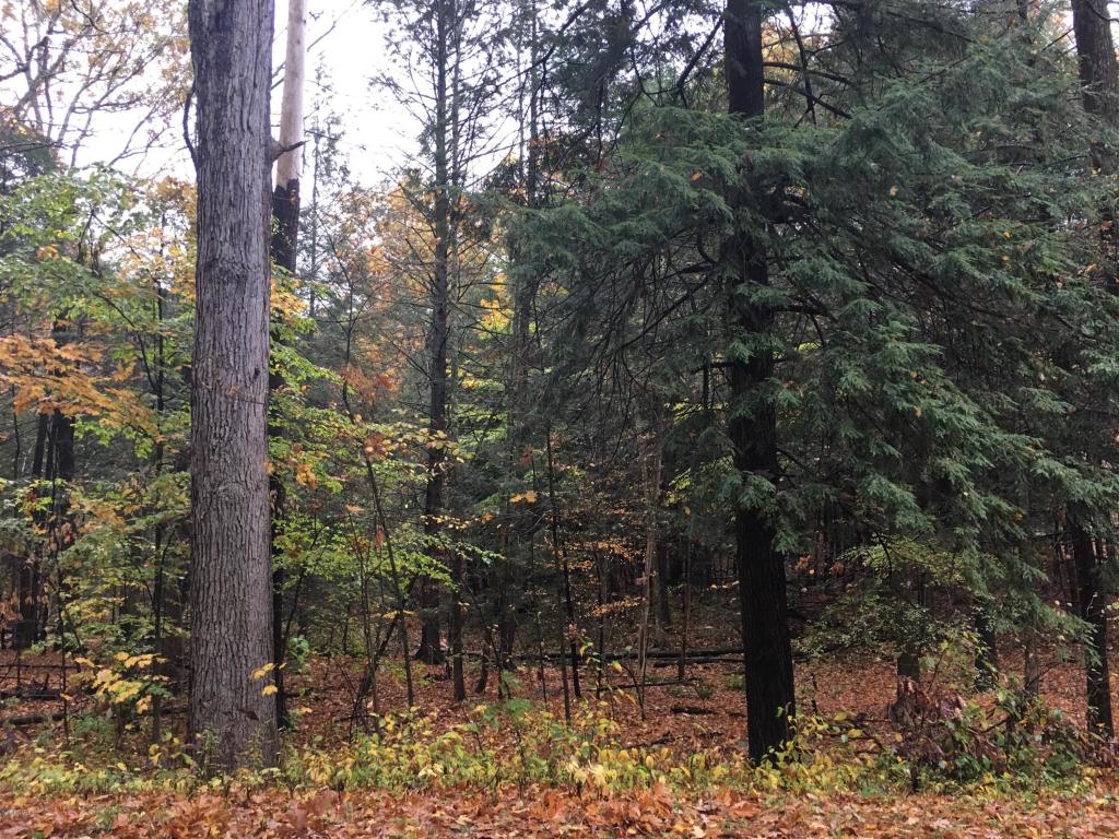 Alford Rd, Great Barrington, MA 01230