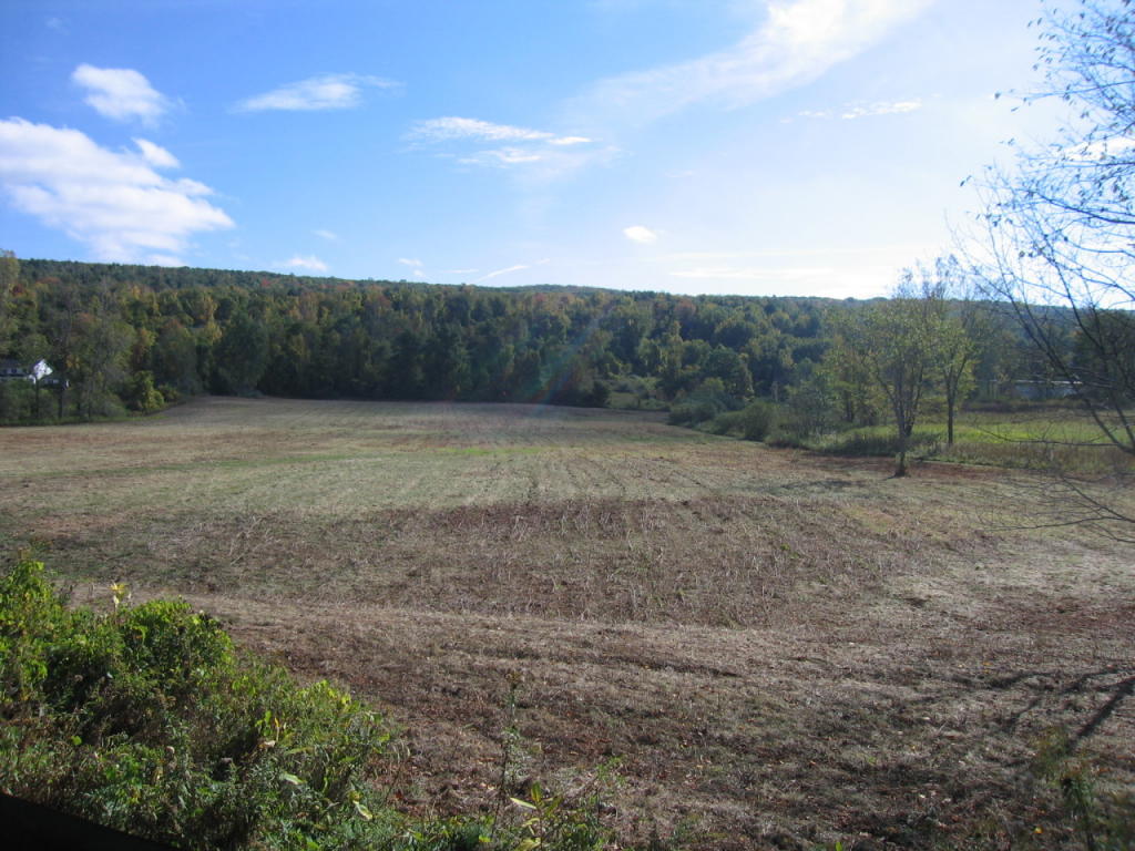 Stockbridge Rd, Great Barrington, MA 01230