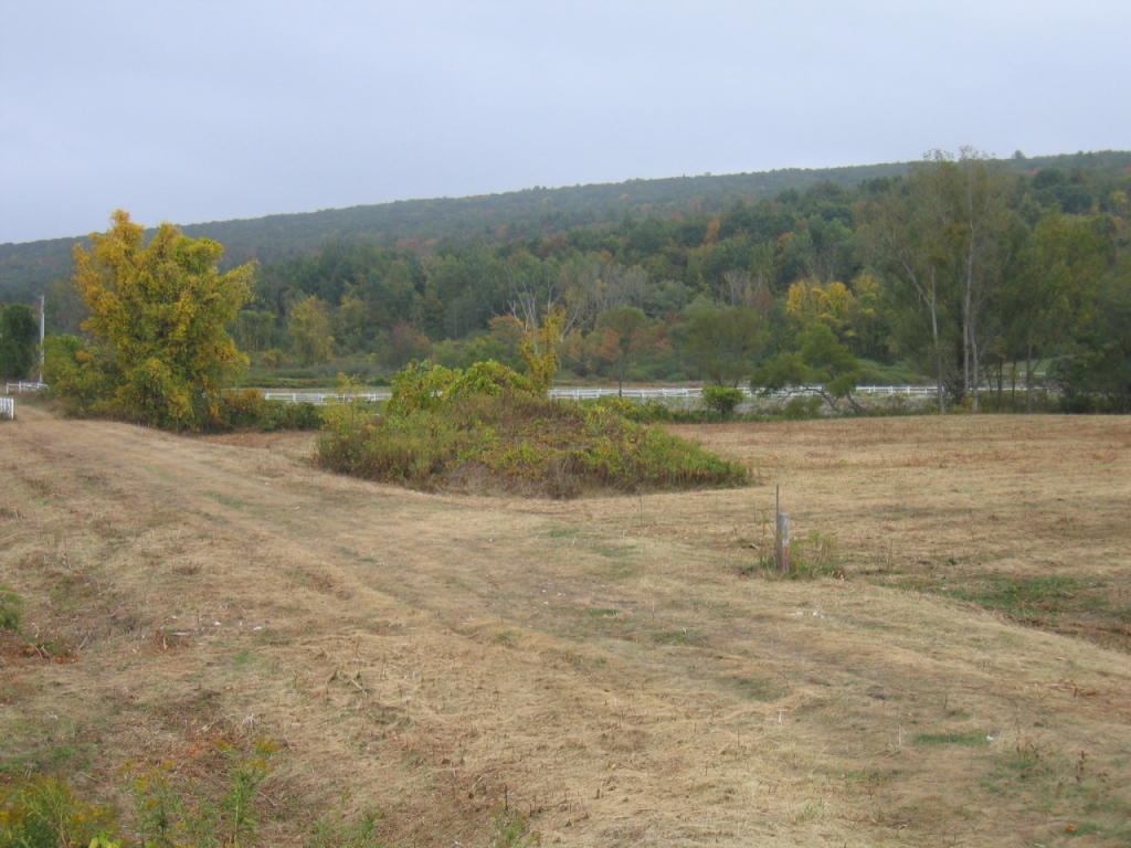 Stockbridge Rd, Great Barrington, MA 01230