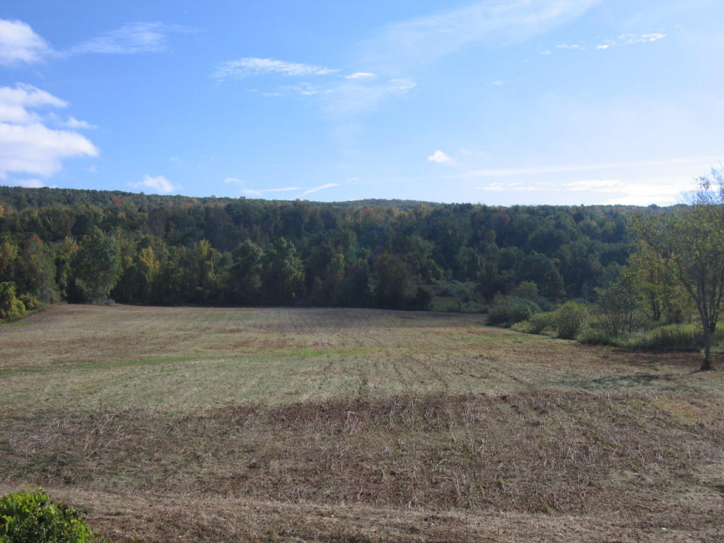 Stockbridge Rd, Great Barrington, MA 01230