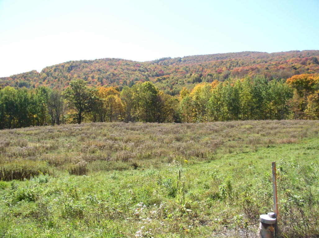 Beach Hill Rd, New Ashford, MA 01237