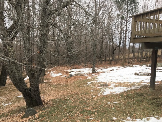 4 Bryan RdMiddlefield, MA, 01243Hampshire County