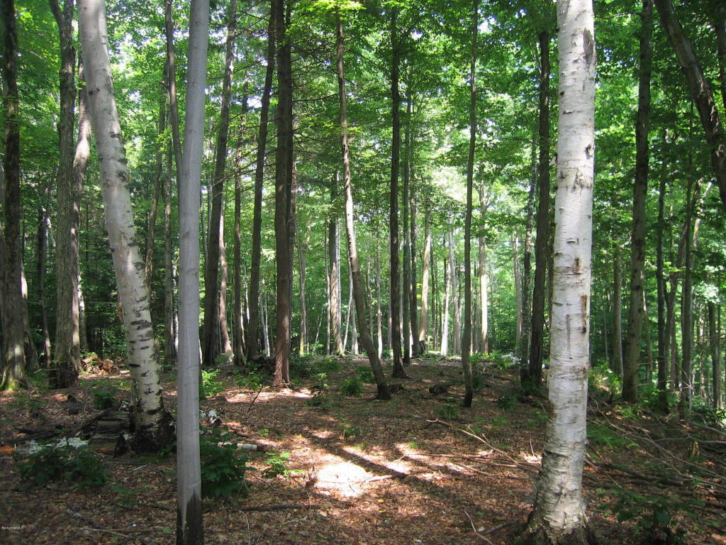 0 Hancock Rd, Williamstown, MA 01267