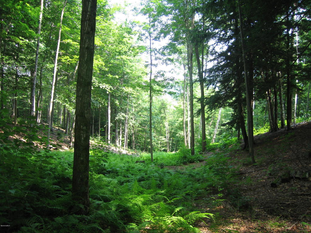 0 Hancock Rd, Williamstown, MA 01267
