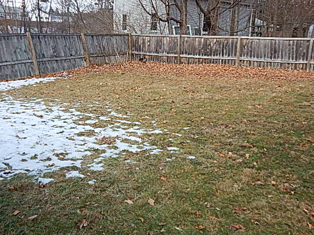 271 Silver StGreenfield, MA, 01301Franklin County
