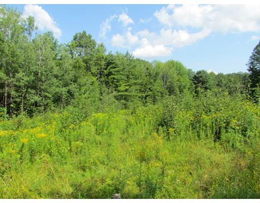 0 Whately Rd., Conway, MA 01341