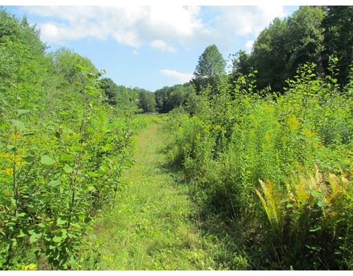 0 Whately Rd., Conway, MA 01341