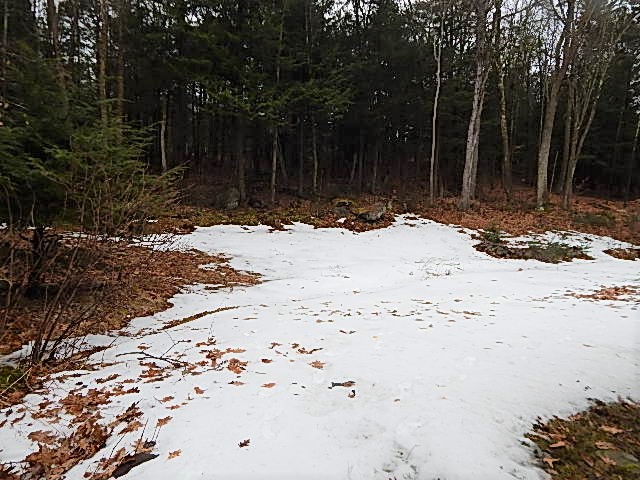 157 Wendell Depot RdOrange, MA, 01364Franklin County