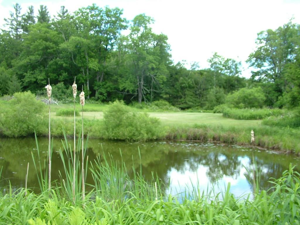 1903Mohawk Trail, Charlemont, MA 01370