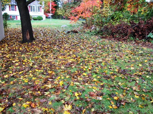 12 Maravista RdWorcester, MA, 01606Worcester County