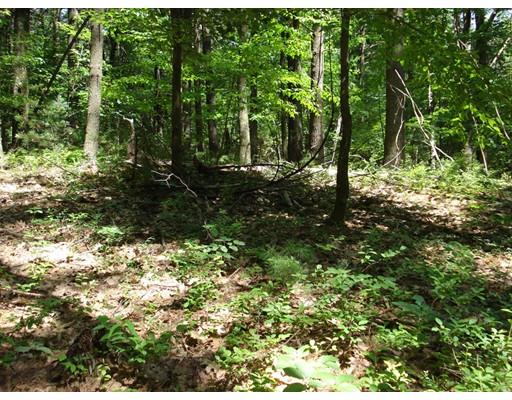 Lot 1 Nourse Road, Bolton, MA 01740