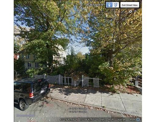 20 Forest Street, Boston, MA 02119