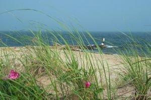 0 Crosswinds Way, East Falmouth, MA 02536