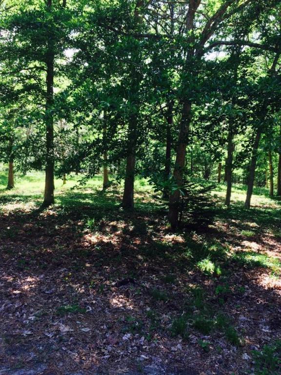 0 Stony Brook Road, Brewster, MA 02631