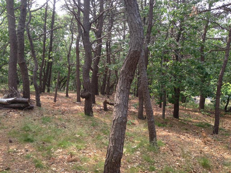 12 Arrowhead Farm Road, Truro, MA 02652