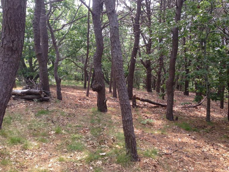 12 Arrowhead Farm Road, Truro, MA 02652