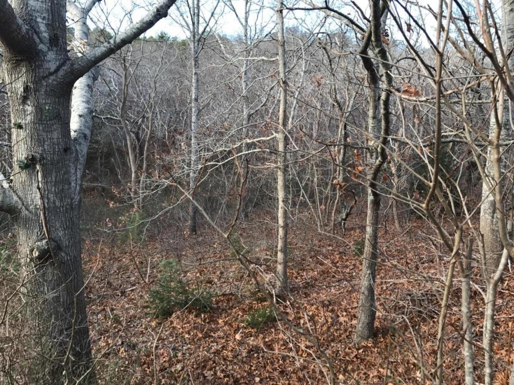 44 Truro Center Road, Truro, MA 02666