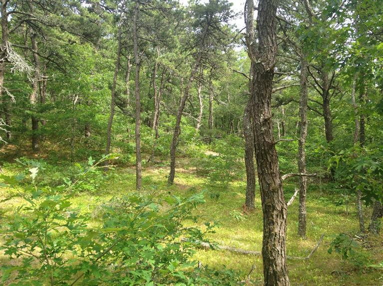 120 Kerouach Road, Wellfleet, MA 02667