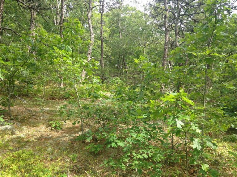 120 Kerouach Road, Wellfleet, MA 02667