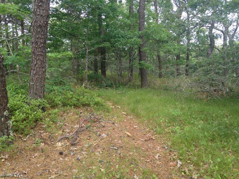 105 Kerouach Road, Wellfleet, MA 02667