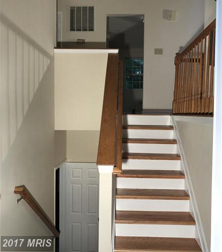 14111 KYDAN COURT, Brandywine, MD 20613