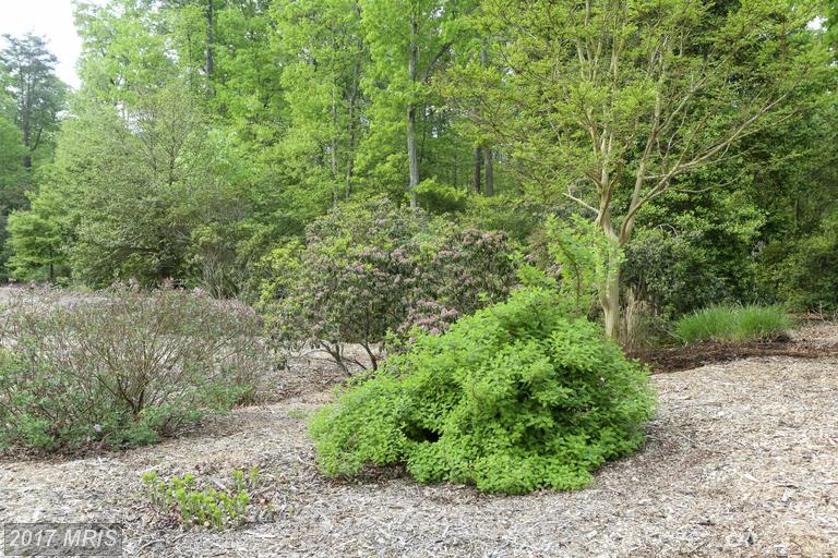 20343 CHINGVILLE ROAD, Leonardtown, MD 20650