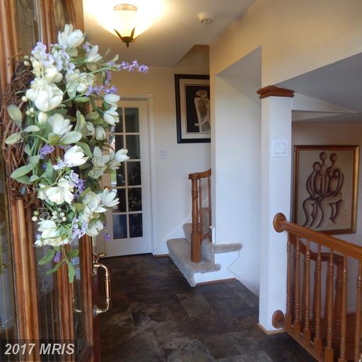 9202 MUSKOGEE PLACE, Adelphi, MD 20783