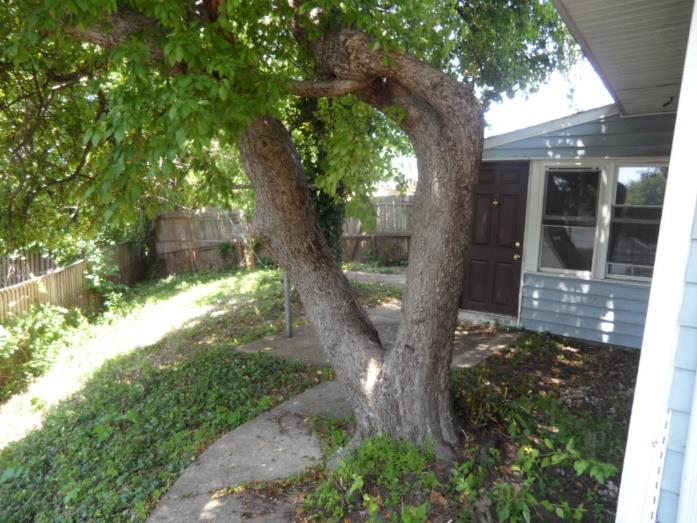 2316 Matthew HensonHyattsville, MD, 20785Prince Georges County