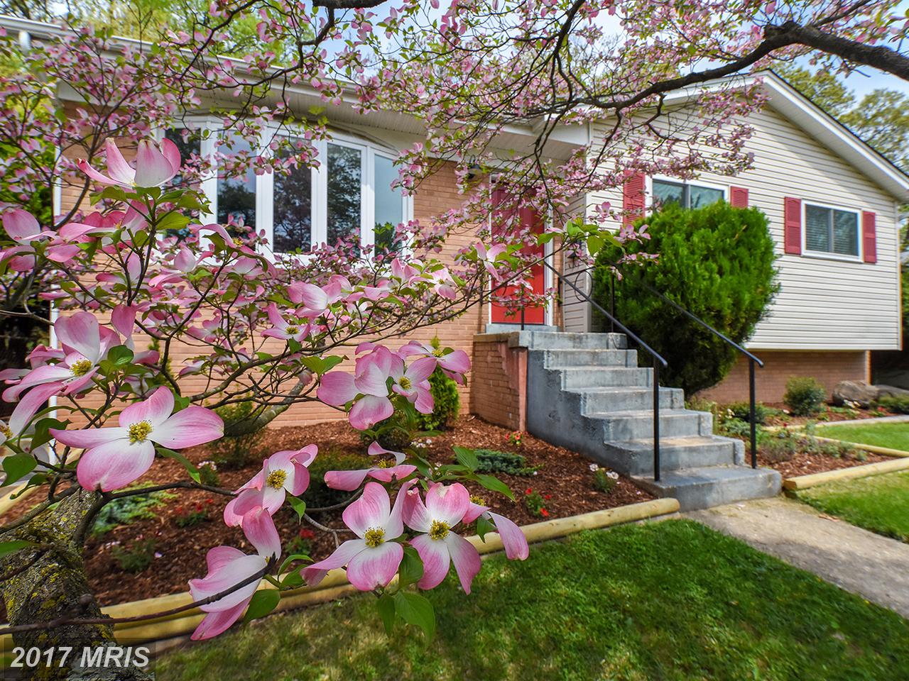 905 MALTA LN, Silver Spring, MD 20901