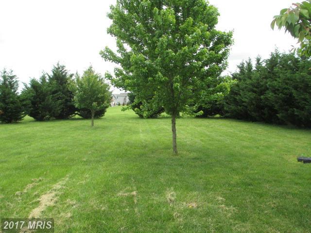 31937 GRIFFITH DRIVE, Galena, MD 21635